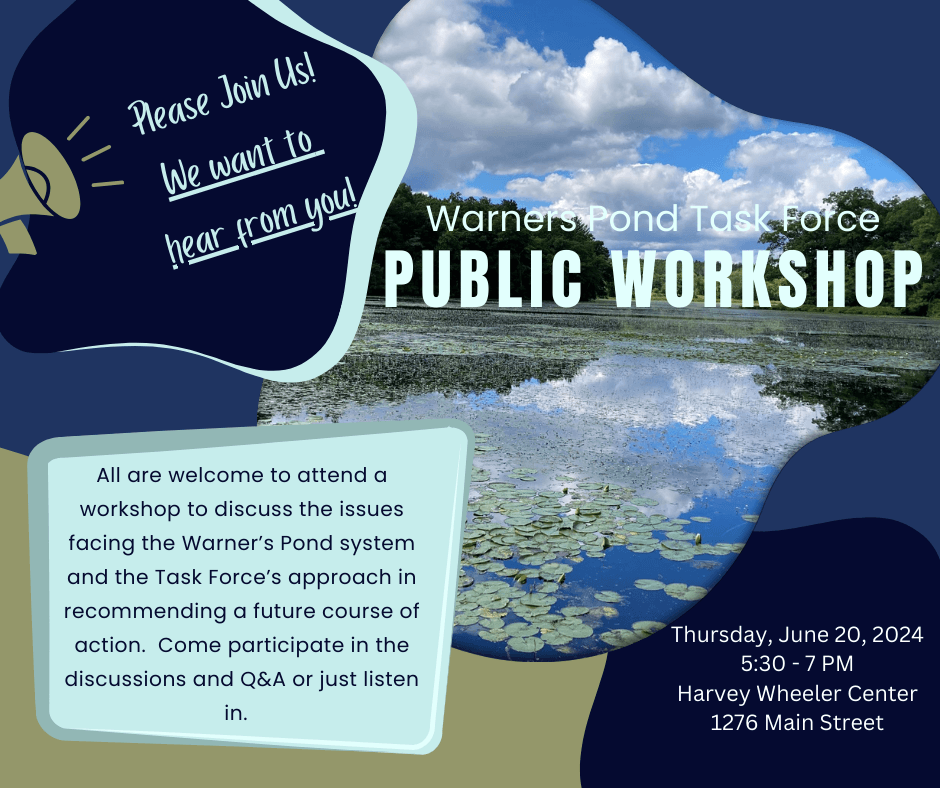 Warners Pond Task Force 