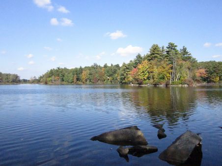 Open Lake with Trees in Background