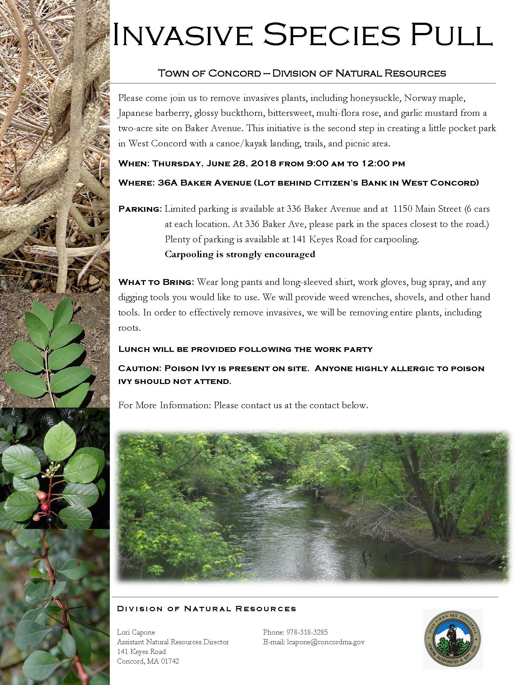 Invasive Work Party Flyer, June 28 9-12pm