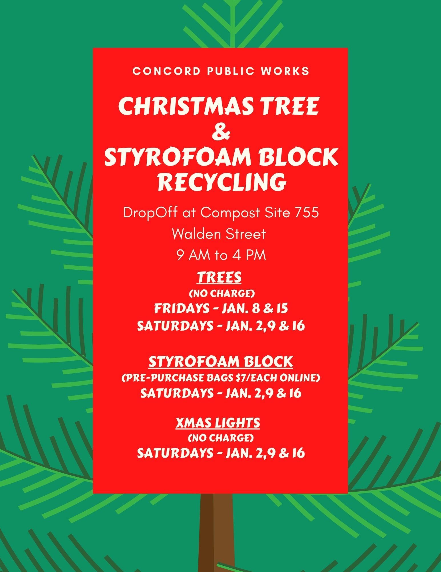 Christmas Tree and  Styrofoam Recycle