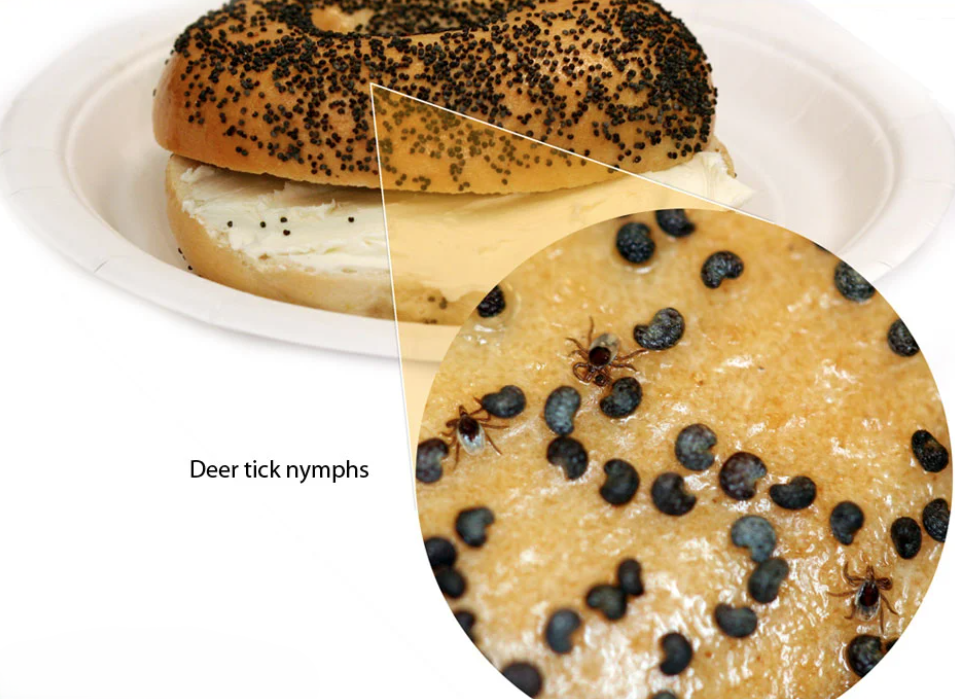 Screenshot 2025-05-13 095103